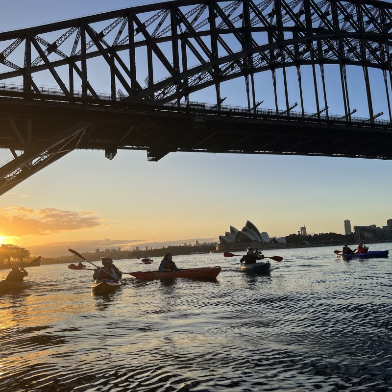 a train crossing a bridge over a body of water