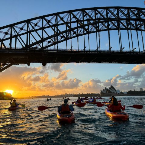 a train crossing a bridge over a body of water