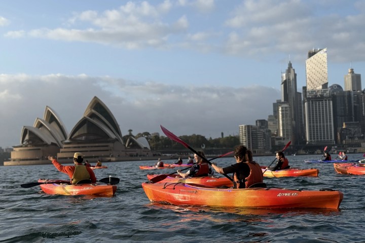 a group of people in kayaks in front of Sydney opera house