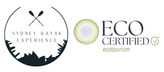 Sydney Kayak Experience